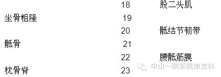 筋膜的康复训练方法,12条筋膜链解析及治疗手法