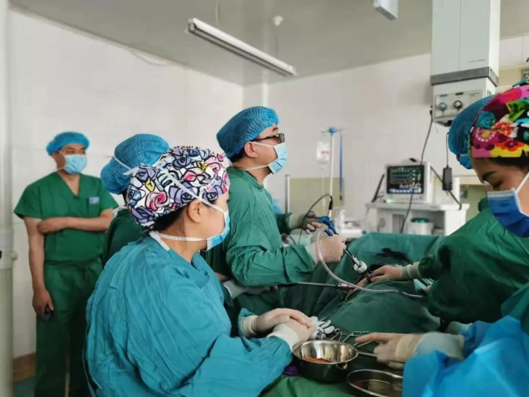 全国百城公益联动活动,防治肿瘤公益行动