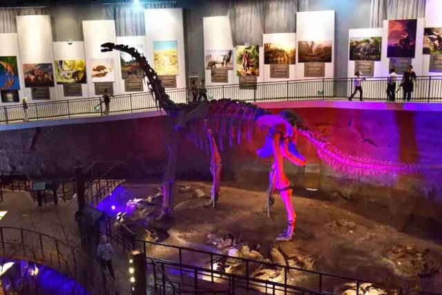 汝阳旅游优惠,汝阳免门票旅游景点