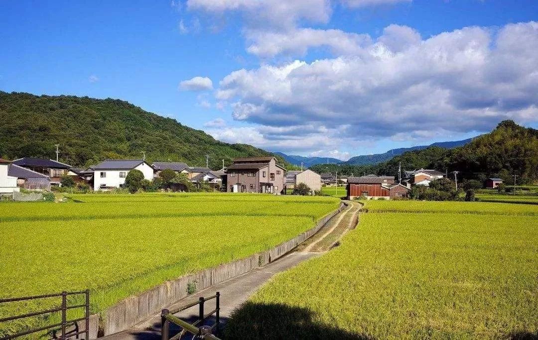 日本最精致农业在哪里,日本农业的精耕