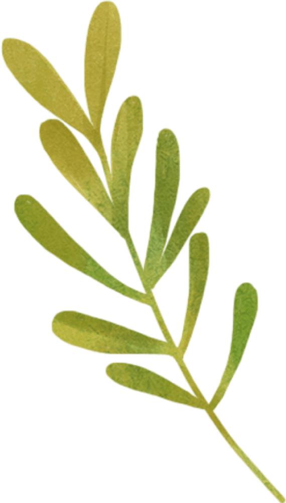 晋江中秋吃什么,晋江中秋游玩