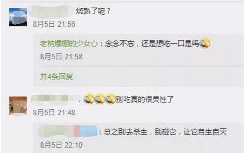 碰了非洲大蜗牛会有什么症状,雨后出现的大蜗牛千万别碰新闻