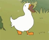 “我太难了！”今天没有一只鸭子能活着走出广西