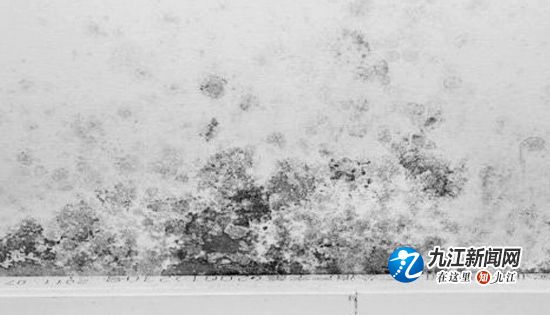 下雨导致房屋内渗水,卧室墙面浸水怎么修复