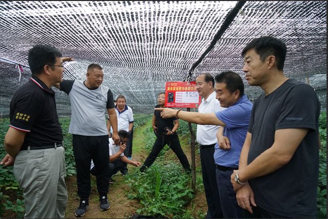 瑗挎磱鍙傝瑾変负淇濆仴涔嬬帇,瑗挎磱鍙備笓鐢ㄨ偉