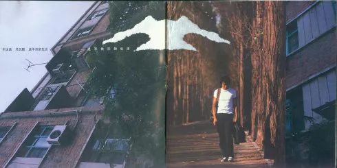 为什么朴树这么火,为什么朴树弹吉他左手不动