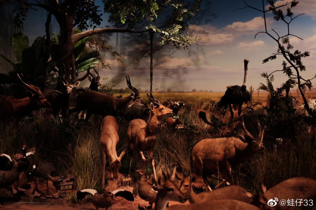 这份详细攻略请收好,这份一日游攻略请收好