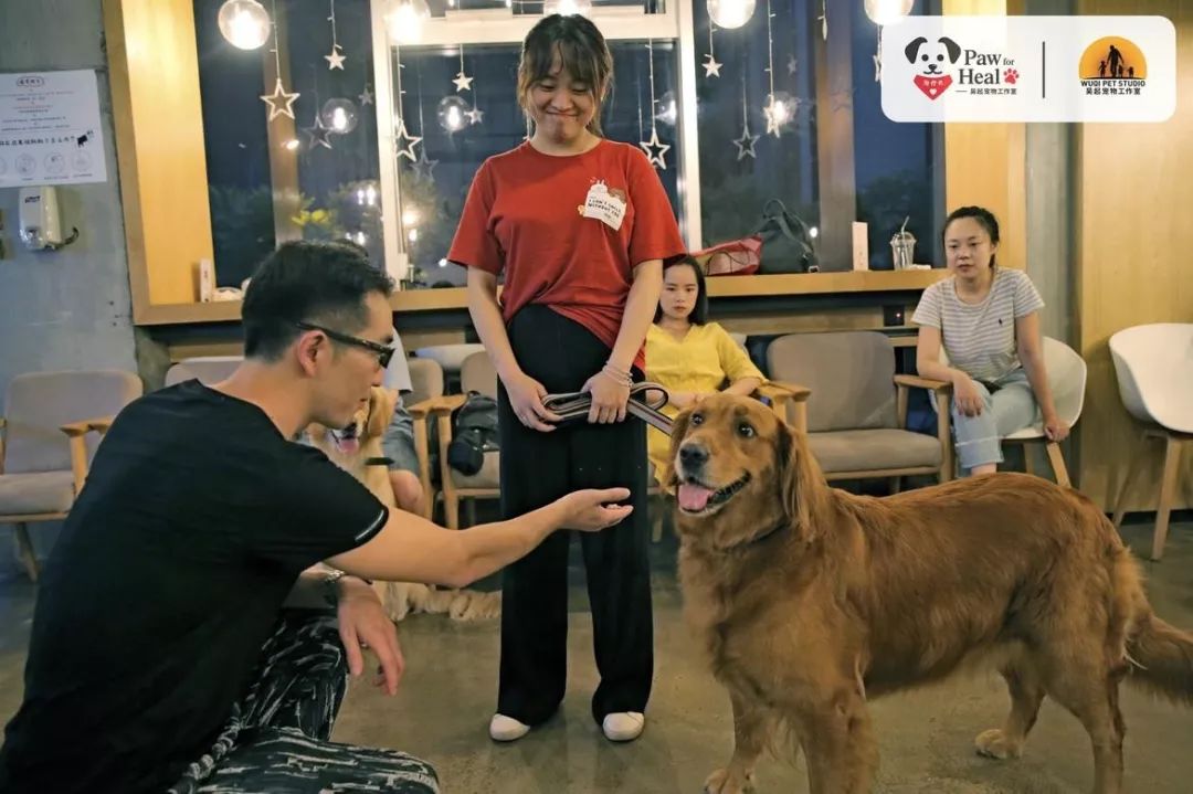 用生命影响生命朗诵央视,用生命影响生命手语朗诵