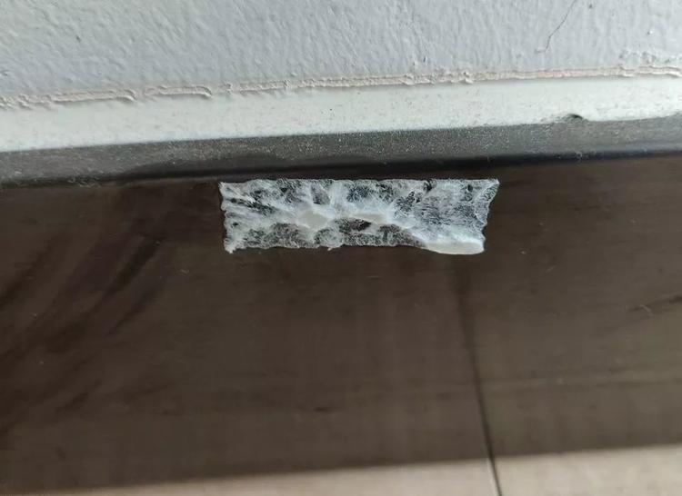 好物志|不分离,我用胶水和胶带