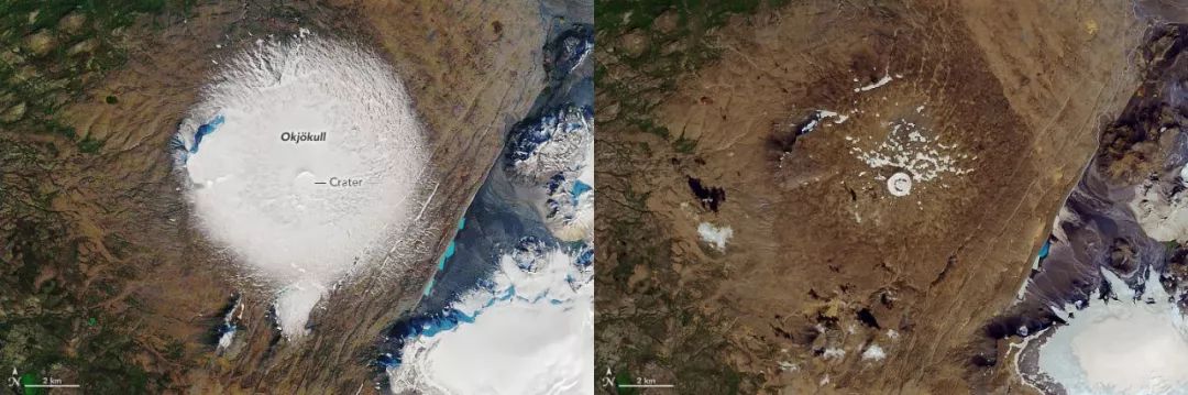 范思哲声明道歉,范思哲道歉文案怎么写