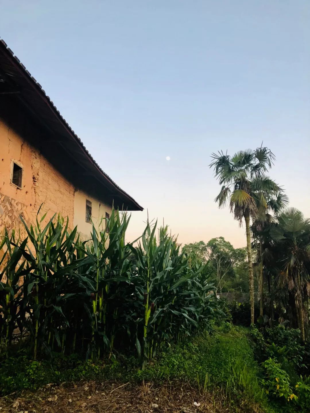 家乡永泰最美的地方,我对家乡的感受与体会