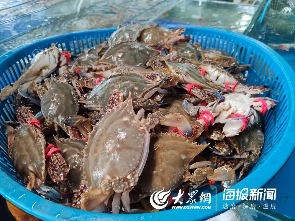 海鲜市场螃蟹多少钱一斤,今日螃蟹批发价目表