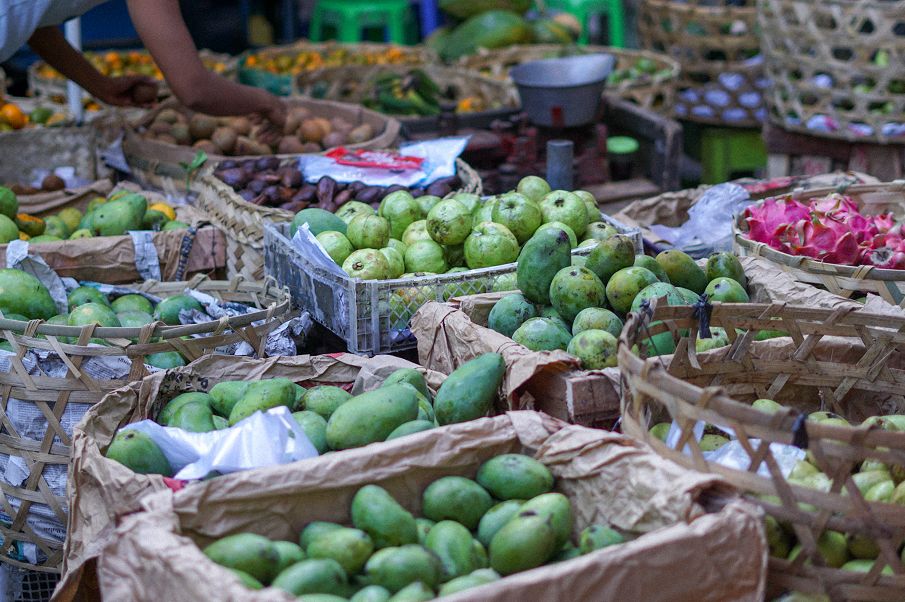 网红打卡地浪漫的巴厘岛,巴厘岛网红梯田秋千推荐