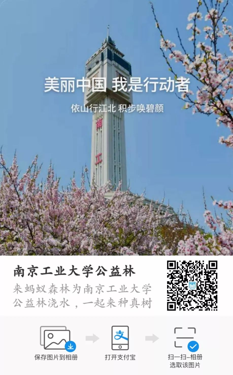 南京工业大学公益林上线，快来浇水种树！