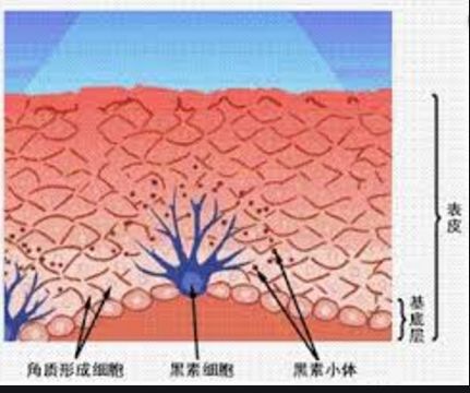 突然长痣是不是出了什么问题知乎,女人左手背突然长痣代表什么
