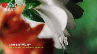 用坏了的不粘锅怎么办,熟铁锅怎么养才不粘锅