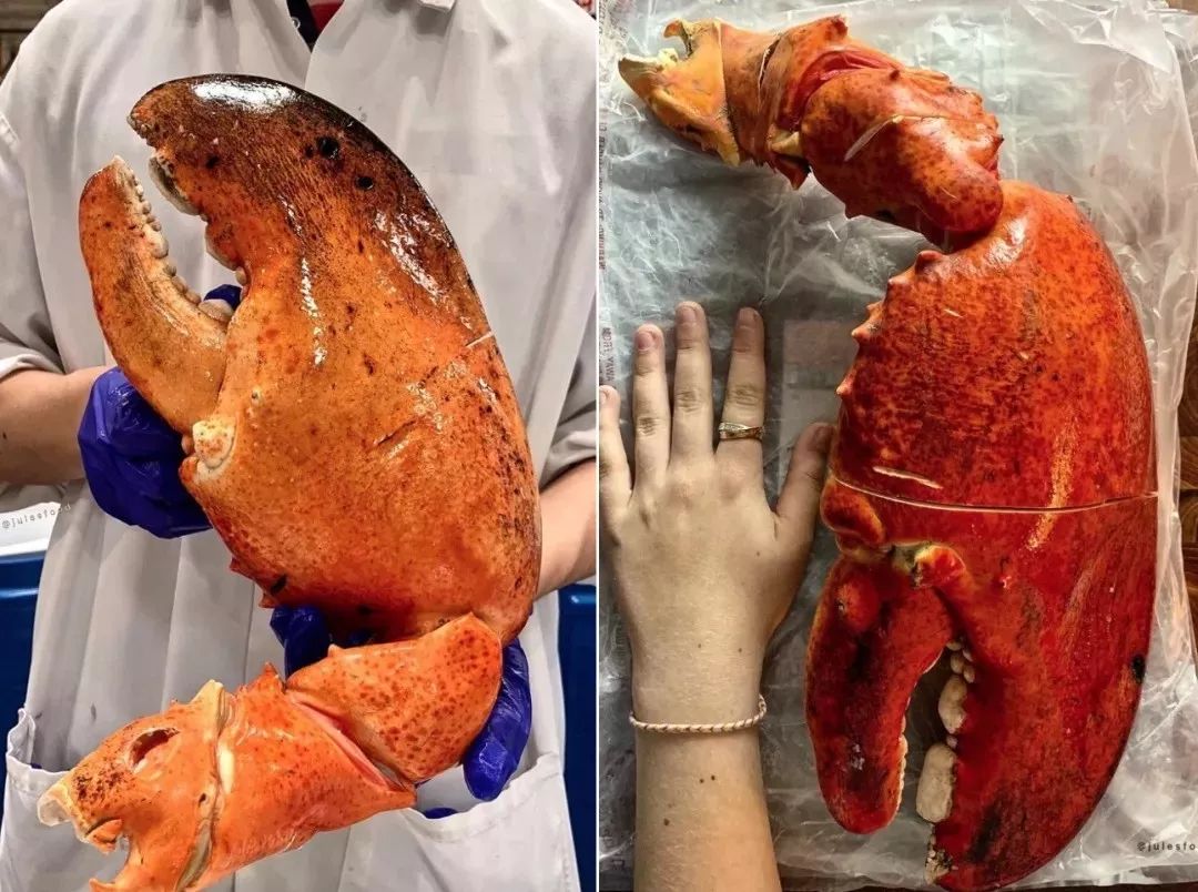 超市界的“宜家”,让无数网购青年被迫逛街