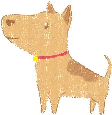 科普正确认识狂犬病,北京疾控中心预防狂犬病