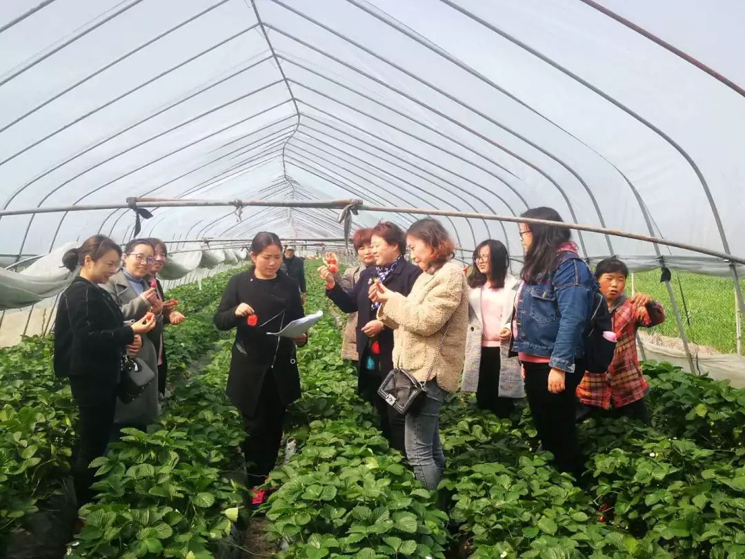 寻访三八红旗手精神|王红妹：她让*党**徽在农村的土地上闪光