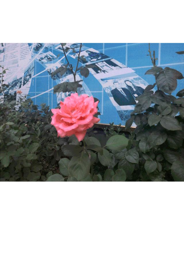 丽都靠不靠谱,丽都整形有失败的吗