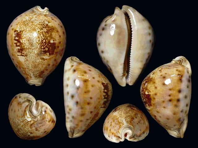 周末这样过总是嫌吃不够怎么办,周末总是过得很颓废