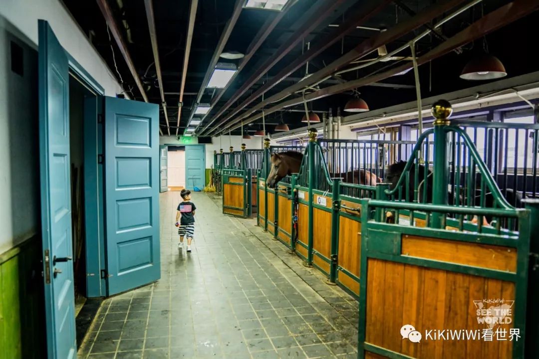 舟山威斯汀打卡攻略,舟山威斯汀和海上丝绸哪家好