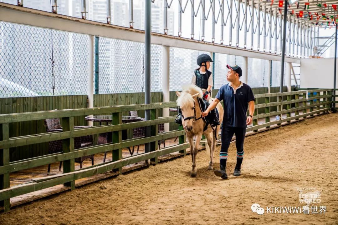 舟山威斯汀离普陀山远吗,舟山威斯汀对应的岛