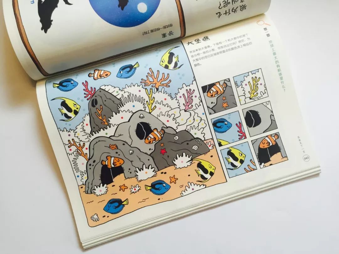 既能学习又能玩的地理游戏,可以学地理的游戏