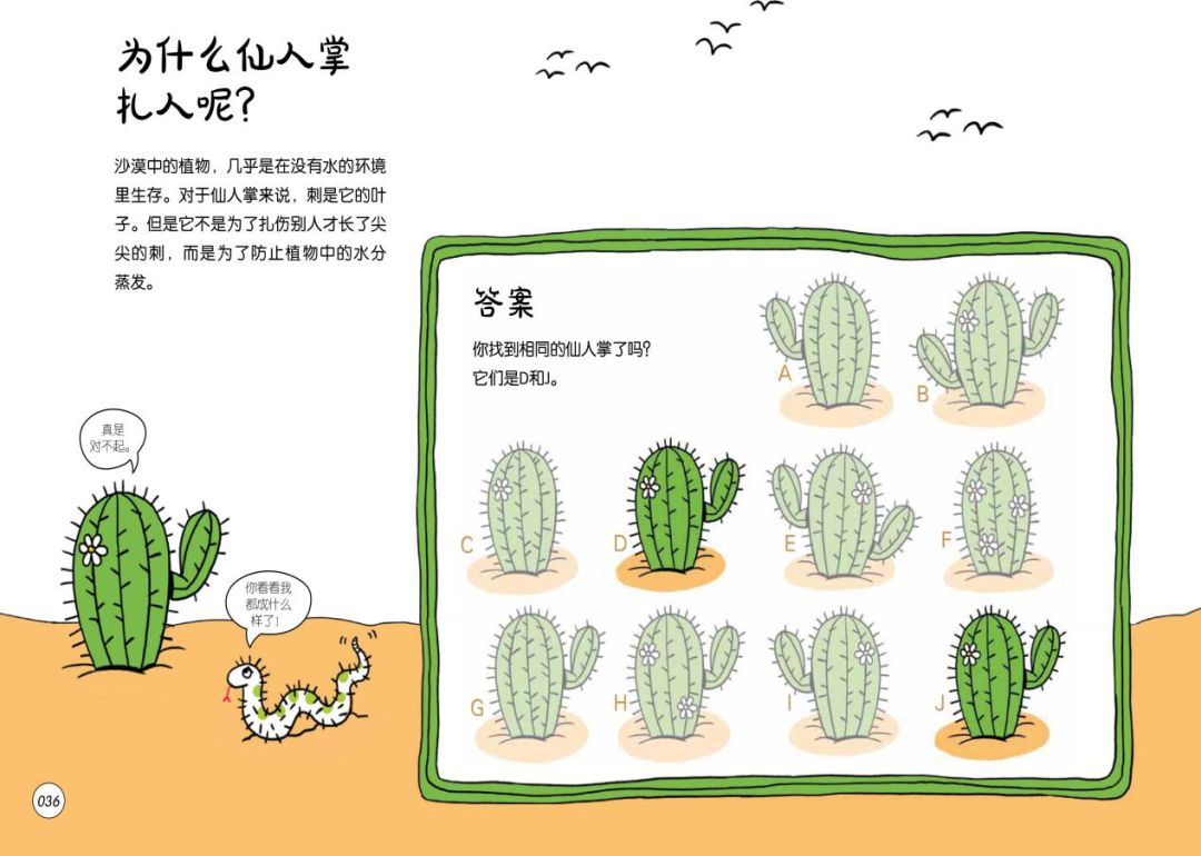 地理启蒙游戏,好玩的益智知识游戏