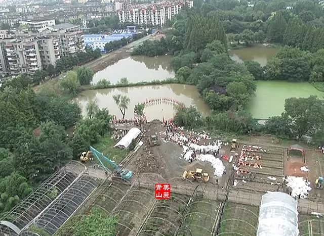 红绿蓝颜色寓意,红绿蓝的色相