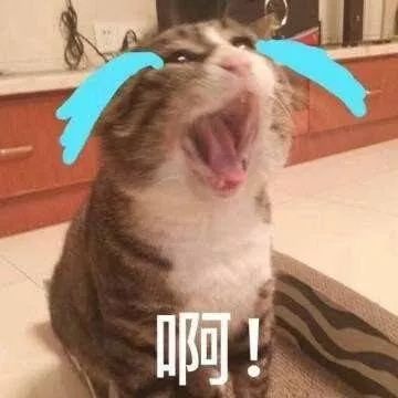 去澳门不购物需要兑换多少澳币,去澳门必须要买的东西