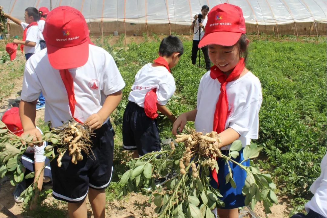 秦小青话剧,秦小青直播