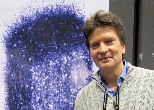 欧盟人脑基础科学项目,欧盟人脑计划是脑研究计划吗