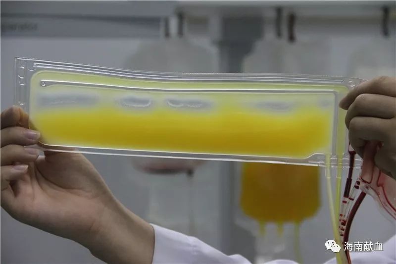 送分题一年级数学,送分题一分不丢