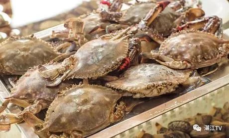 香港tvb经典打卡,香港湛江海鲜