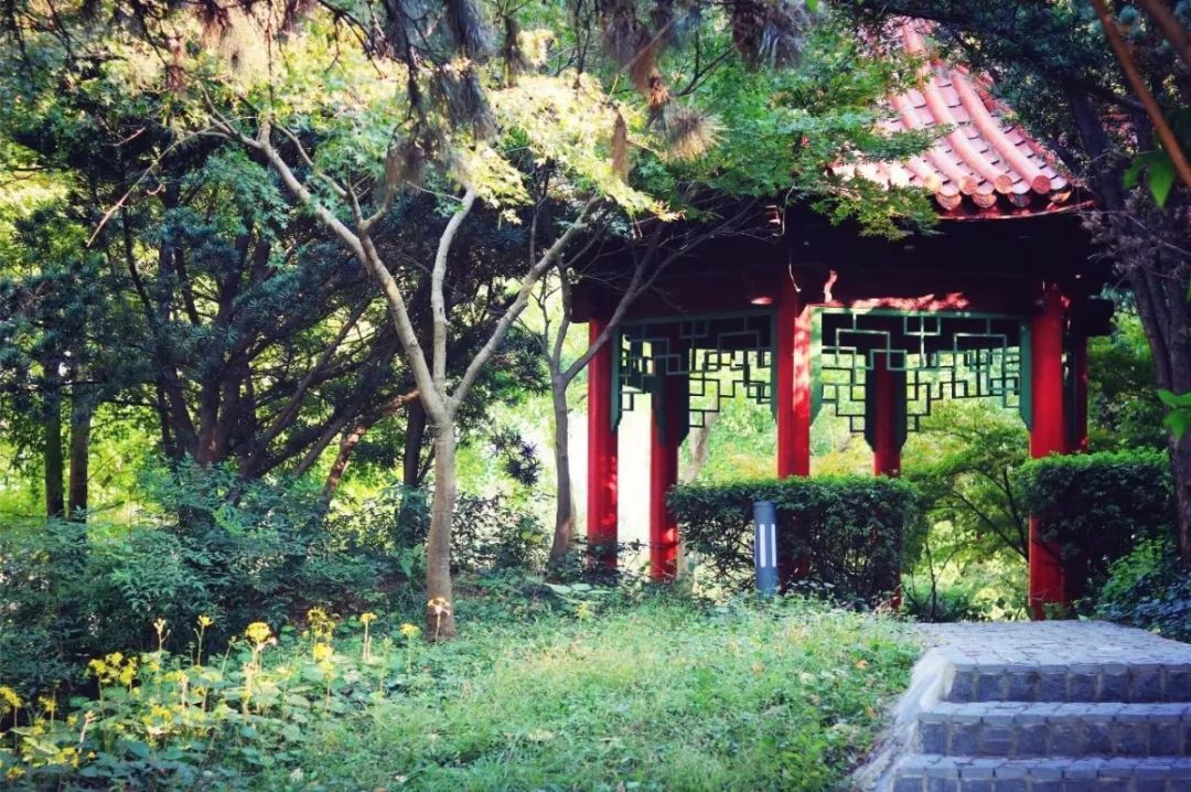 嗨，新同学你好，这里是河海大学！