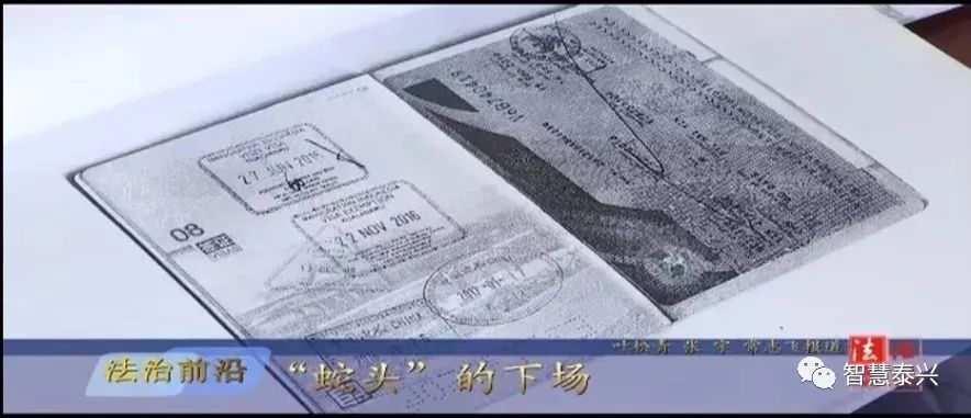 泰兴“蛇头”终于被判了