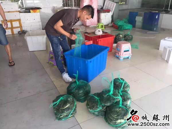 大闸蟹为什么那么多电商,大闸蟹电商款和精品款有什么区别