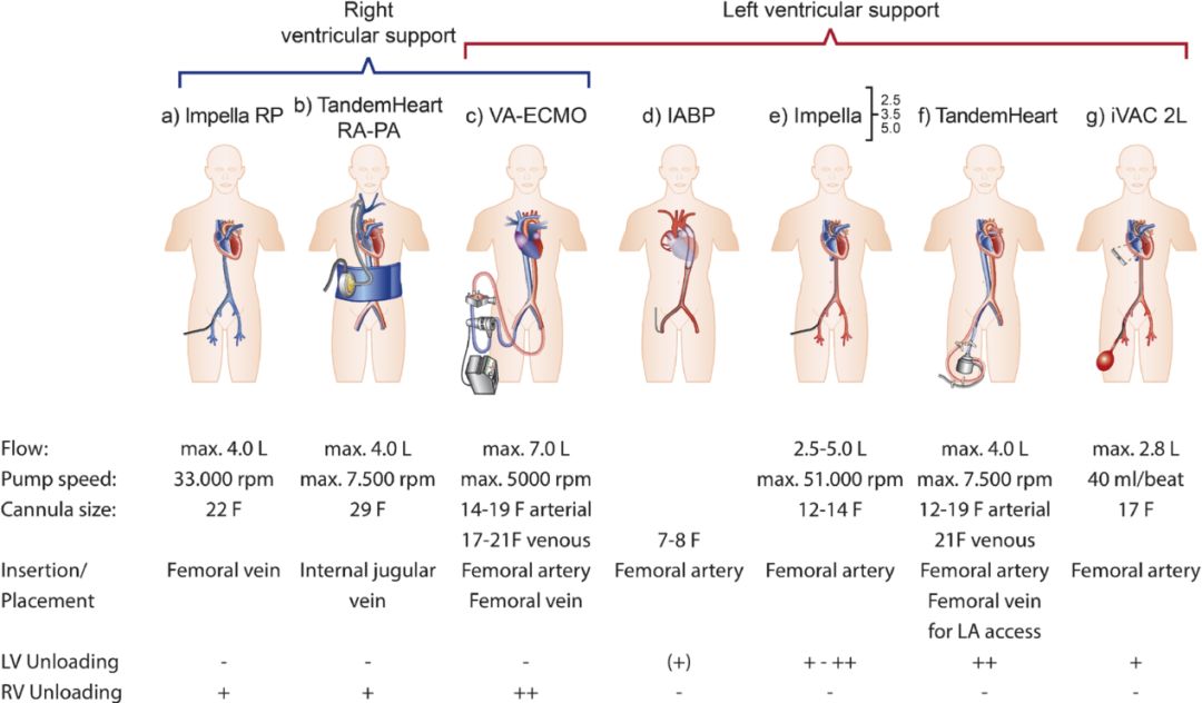 心梗改善预后的药物,心梗后心肌细胞怎样修复