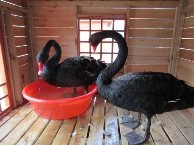 打造合作园区,嘉兴全面对接上海示范区