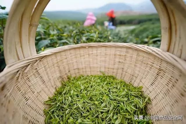 食品安全舆情是什么,食品安全舆情预警案例2024年