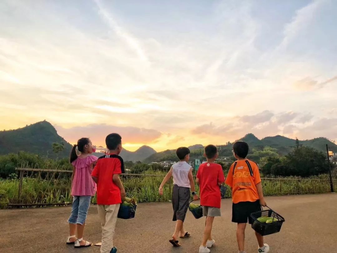 谁说江南无金秋？这座高铁直达的小县城靠一间仙气民宿，就撩到了无数隐居客