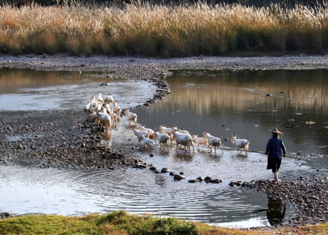 谁说江南无金秋？这座高铁直达的小县城靠一间仙气民宿，就撩到了无数隐居客