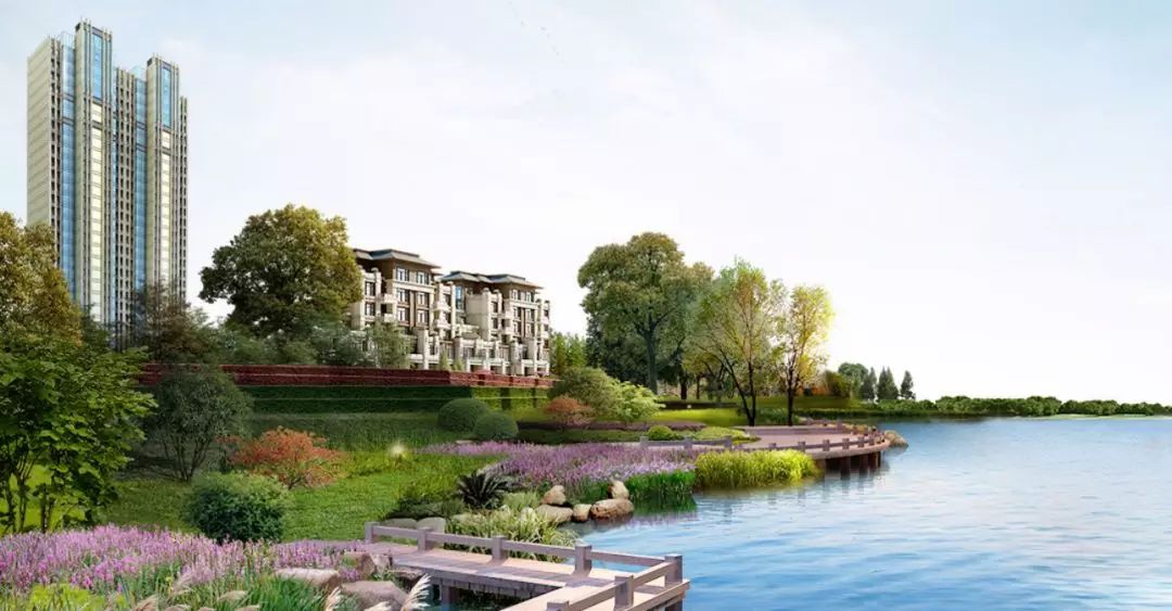 寮哄娍宕涜捣,鍗楁槍寮哄娍宕涜捣