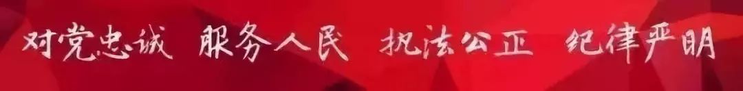 哈尔滨犬只管理中心电话,哈尔滨犬证能网上办理吗