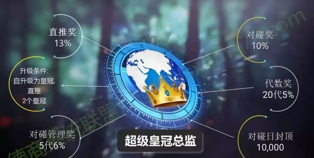 资金盘被骗全经历,资金盘被骗最新消息