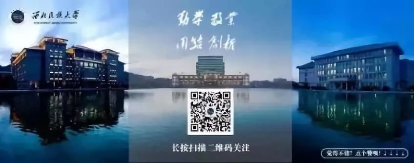 20级萌新出道新生大数据揭秘,19级萌新数据大揭秘