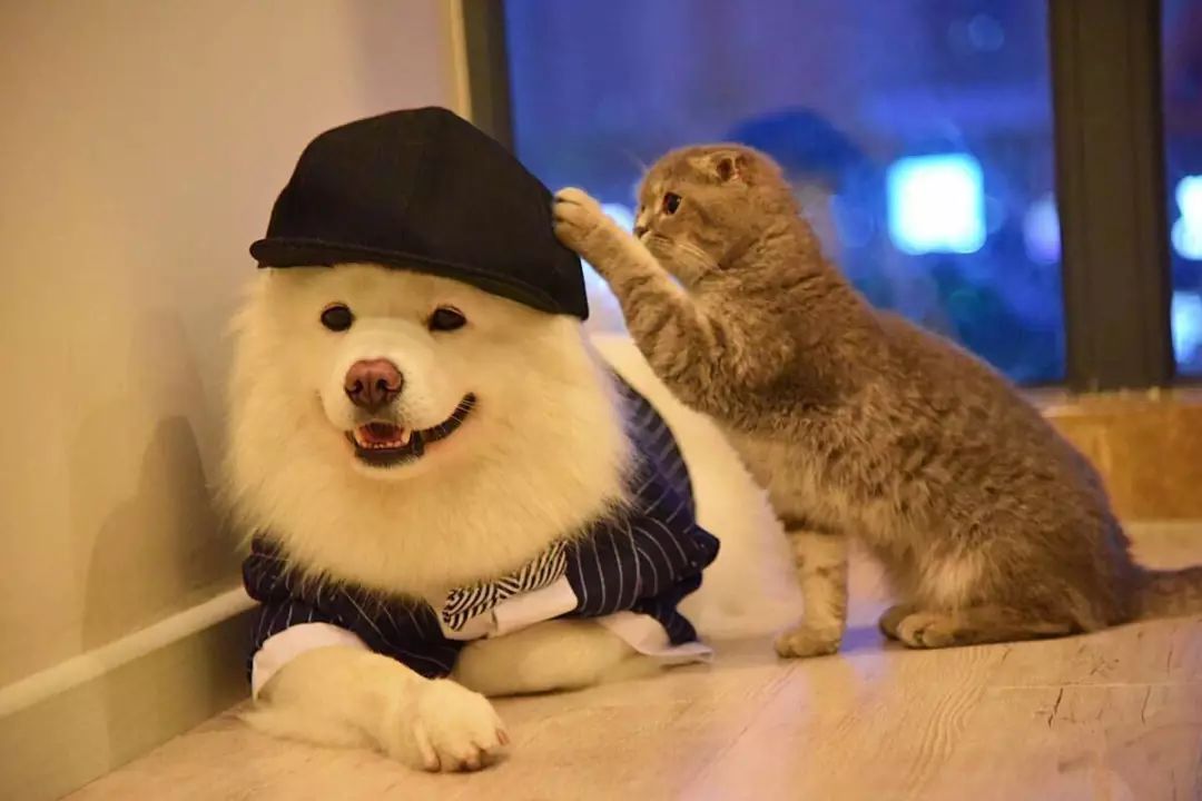 从安妮宝贝到庆山笔风的转变,从安妮宝贝到庆山