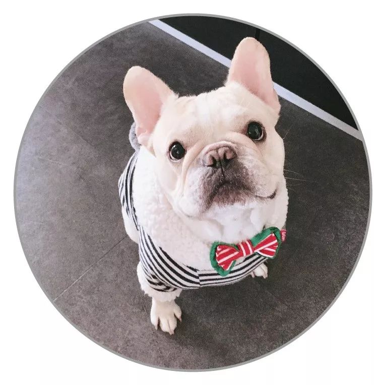 防晒测评团队,无酒精大牌防晒测评推荐