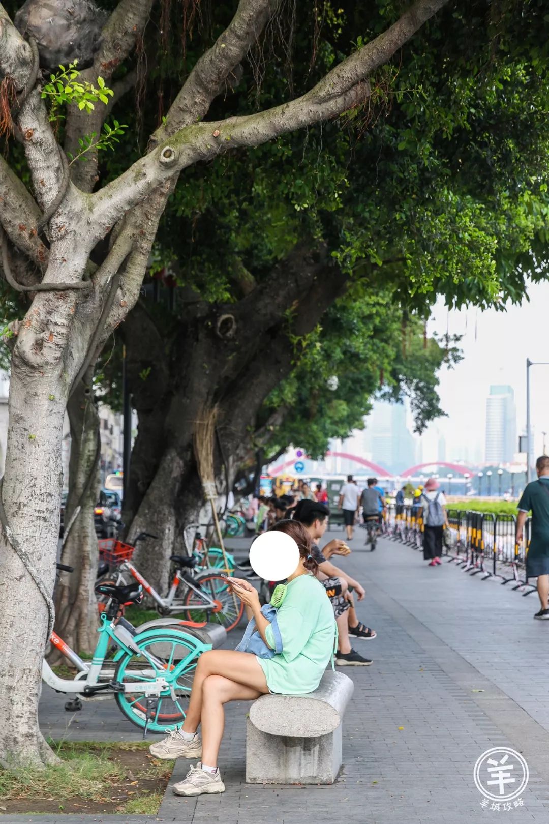 再见了，101岁南方大厦和国际数码电子城